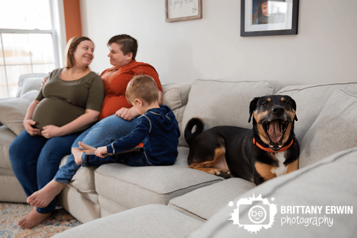 Yawning dog on couch for maternity session