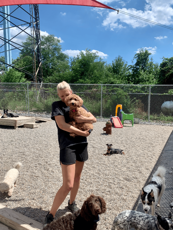 Tailwaggers doggy shop daycare eastgate