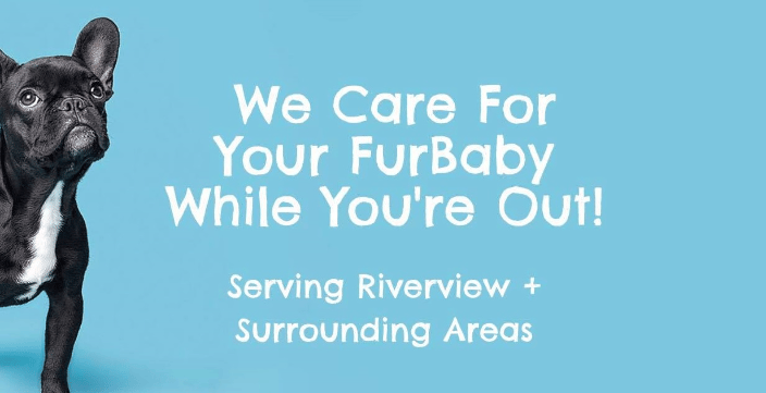 Furbaby pet sitters discount