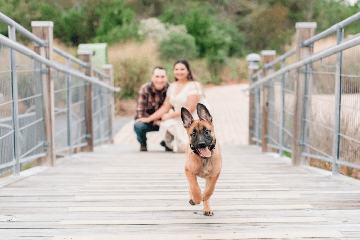 Couple with their puppy
