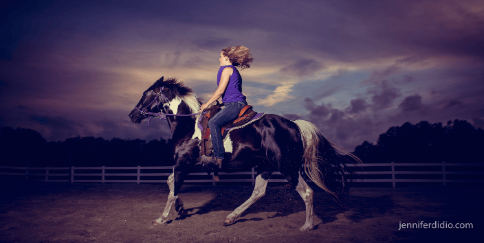 horse