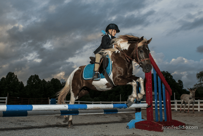 horse jumping
