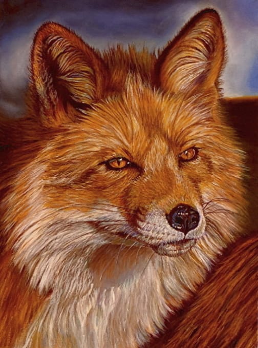 "Red" ~ Red Fox Portrait