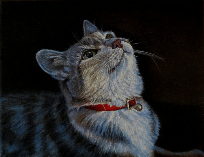"Wait for It" ~ Cat Portrait (Original Composition)