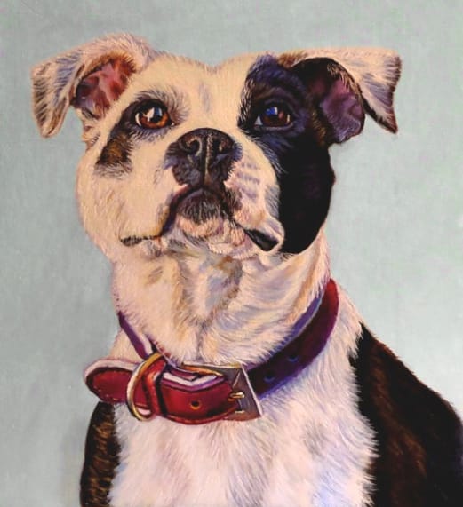 "Hara" ~ Staffordshire Bull Terrier (Original Composition)