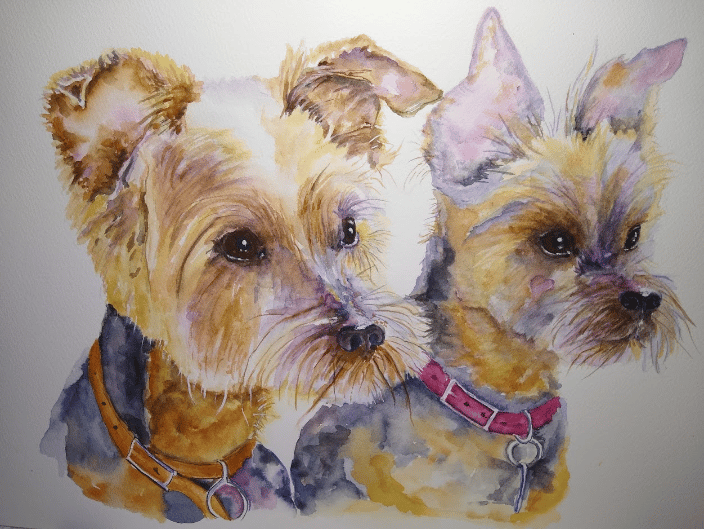 Yorkie Sisters  