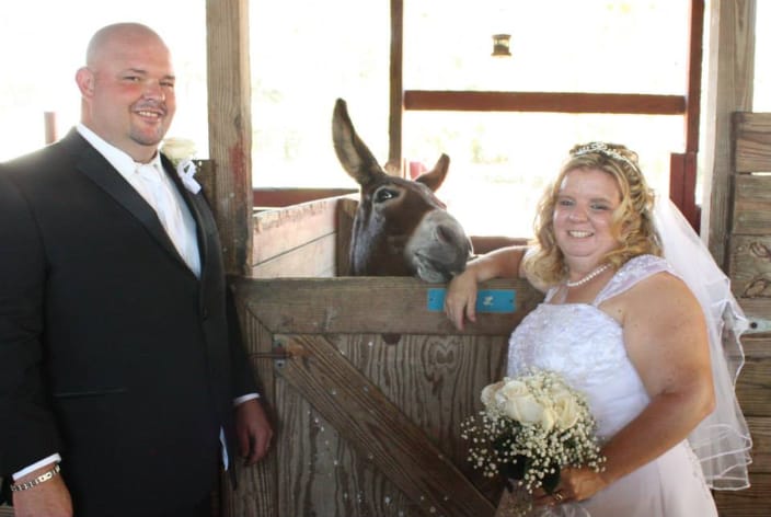 My wedding with my donkey