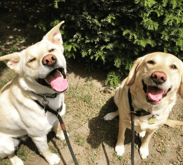Hudson and Jasmine