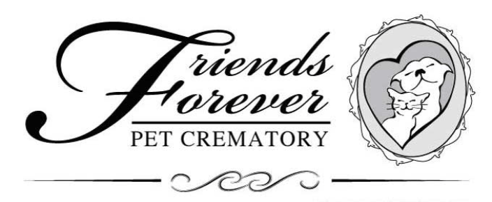 name and logo