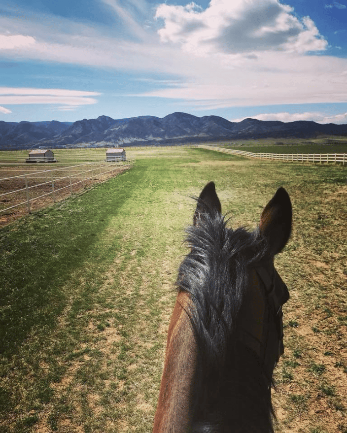 Wide open riding fields