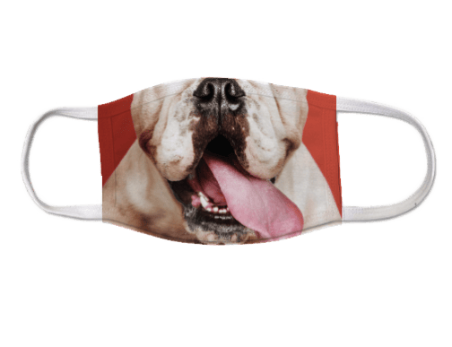 Custom Non-Medical Grade Face Mask