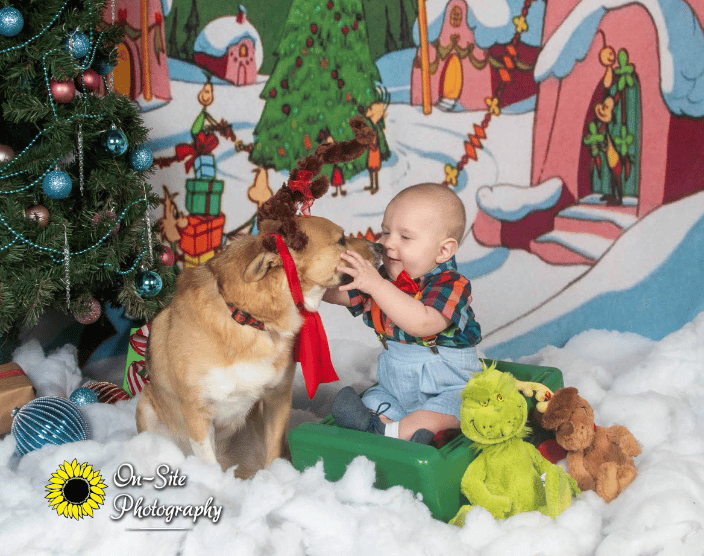 Holiday Pet and Children Photoshoots, photo sessions