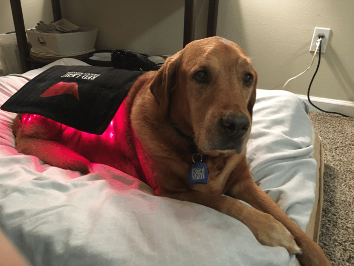 Red Light Therapy
