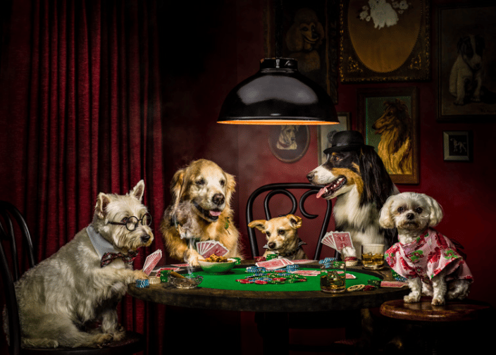 Dogs Playing Poker