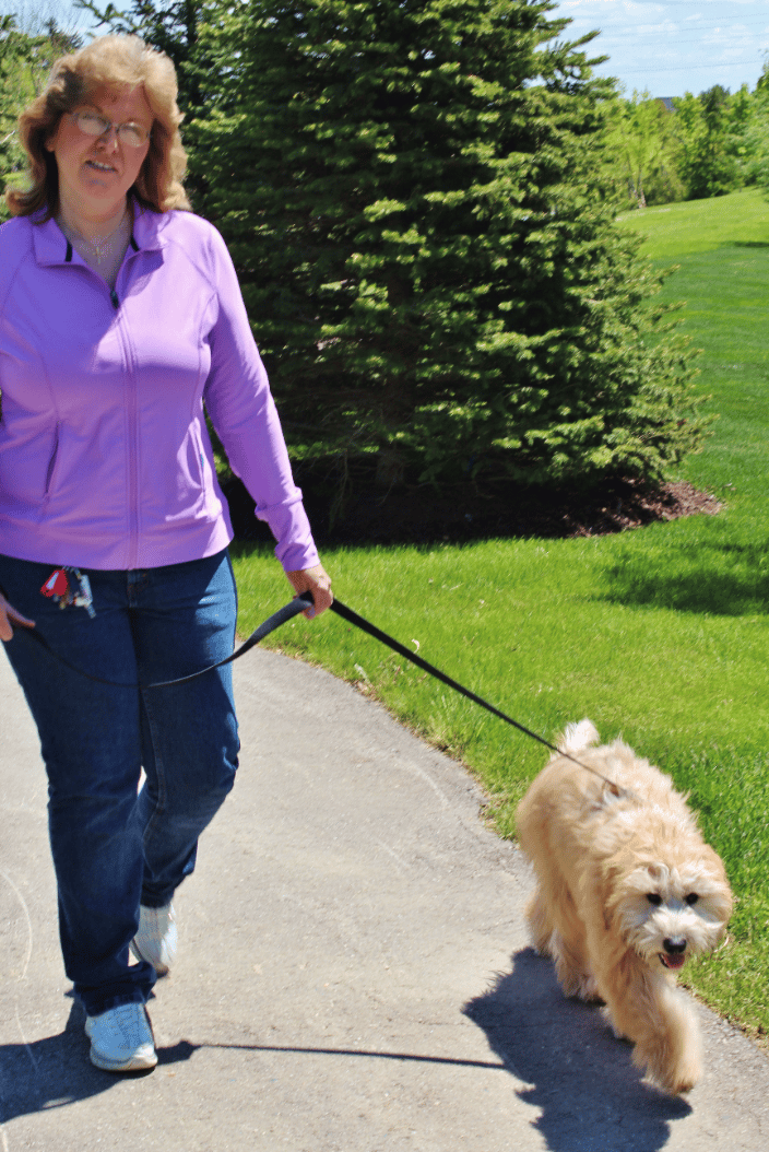 From daily dog walks to care while you travel, Comfy Sitters provide the best care and love your  pets like their own!