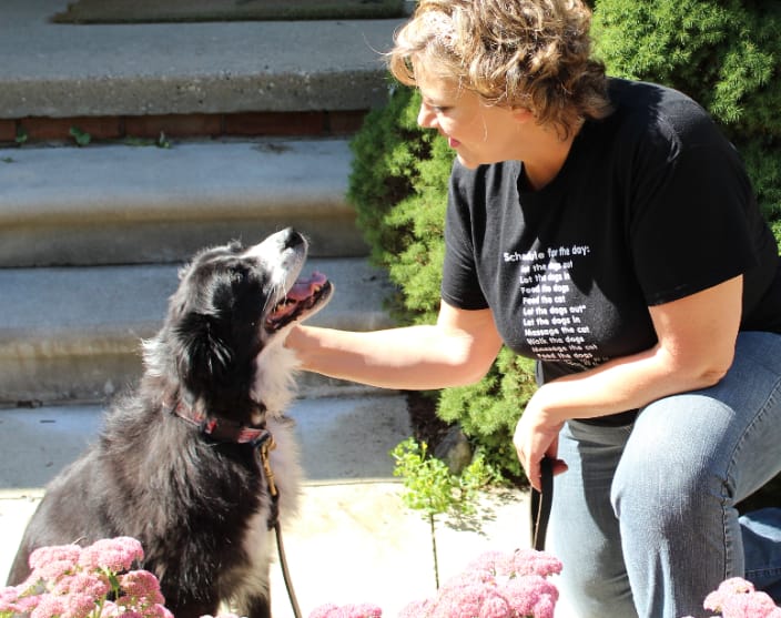 We develop strong bonds and lasting relationships with the pets in our care
