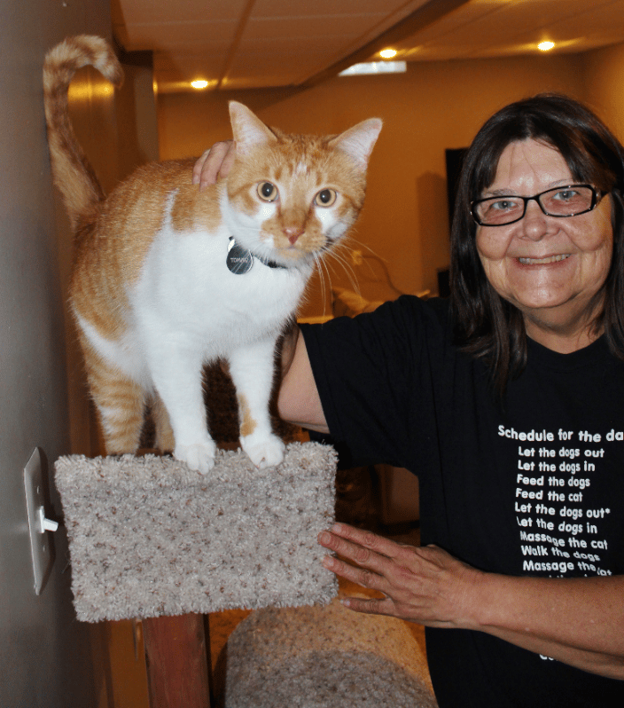 There's good reason they call us Cat Cuddling Experts!