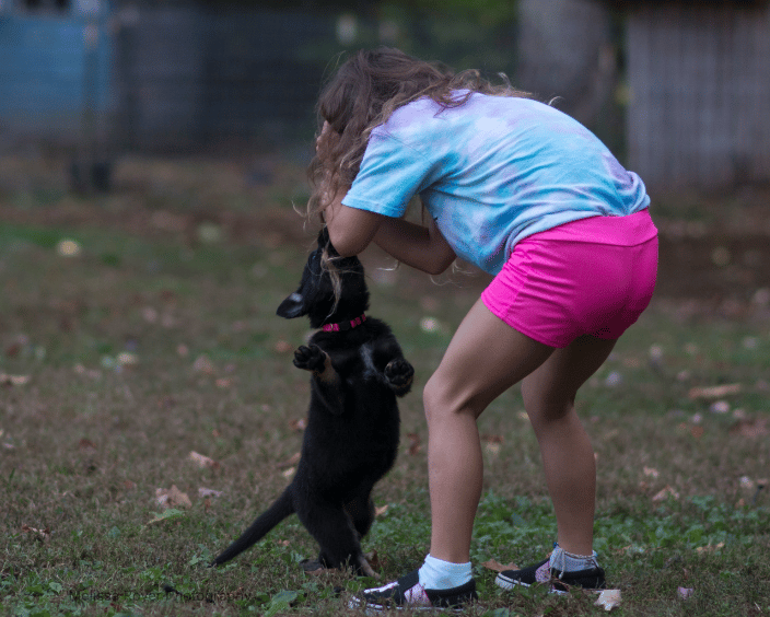 Learning what not to do around puppies