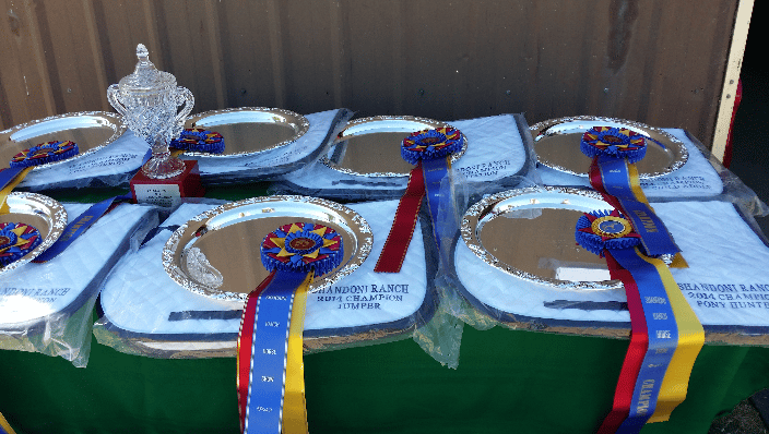 Prizes   Shandoni Ranch Horse Shows