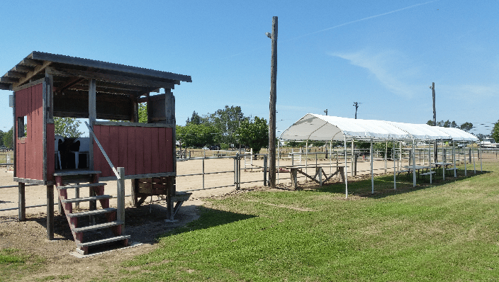 Horse Show area    Shandoni Ranch
