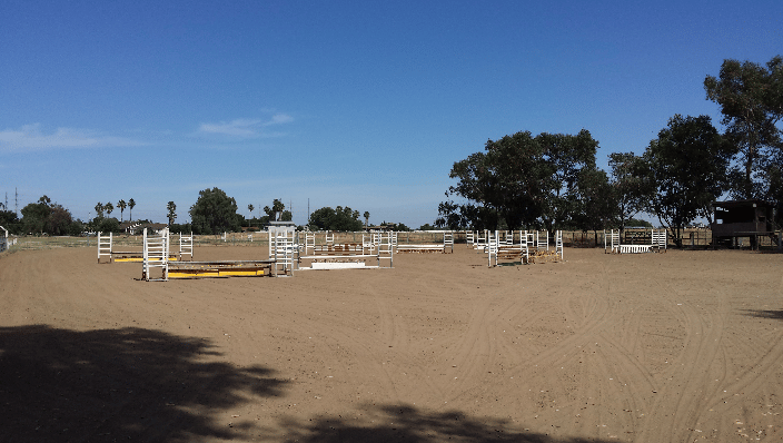 Jumper Ring   Shandoni Ranch
