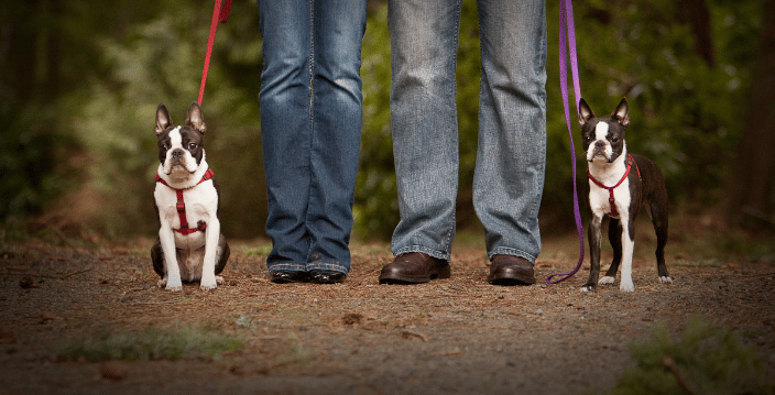 Best buddies.