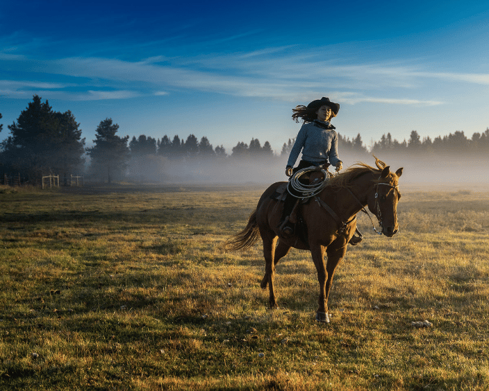 Horse and cowgirl at dawn.