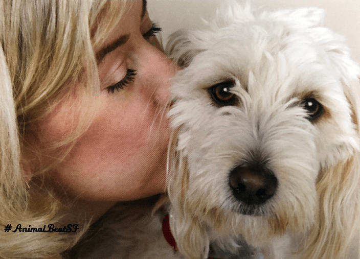 #AnimalBeatSF:Instagram interviews with animal lovers