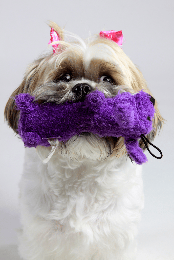 Best Toy!