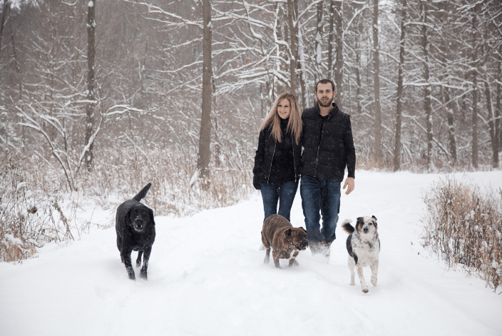 winter family with 3 dogs