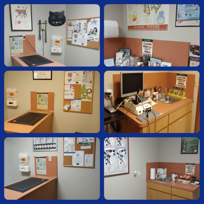 Collage of Exam rooms