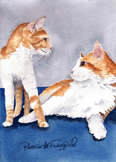 Kitten and Mom Cat