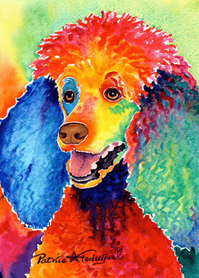 Shave Ice Poodle