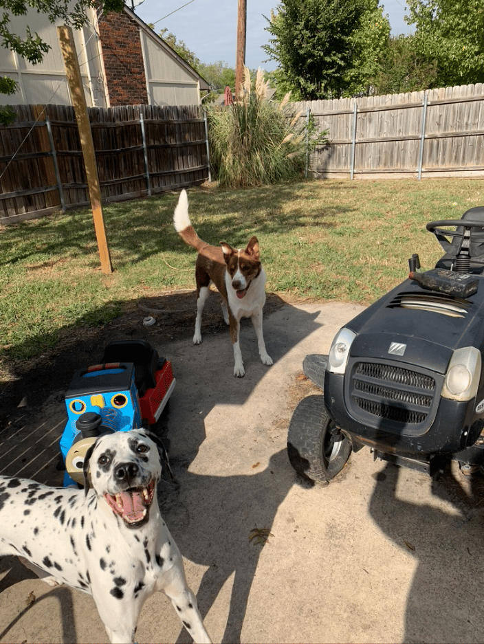 Cap and Jax!