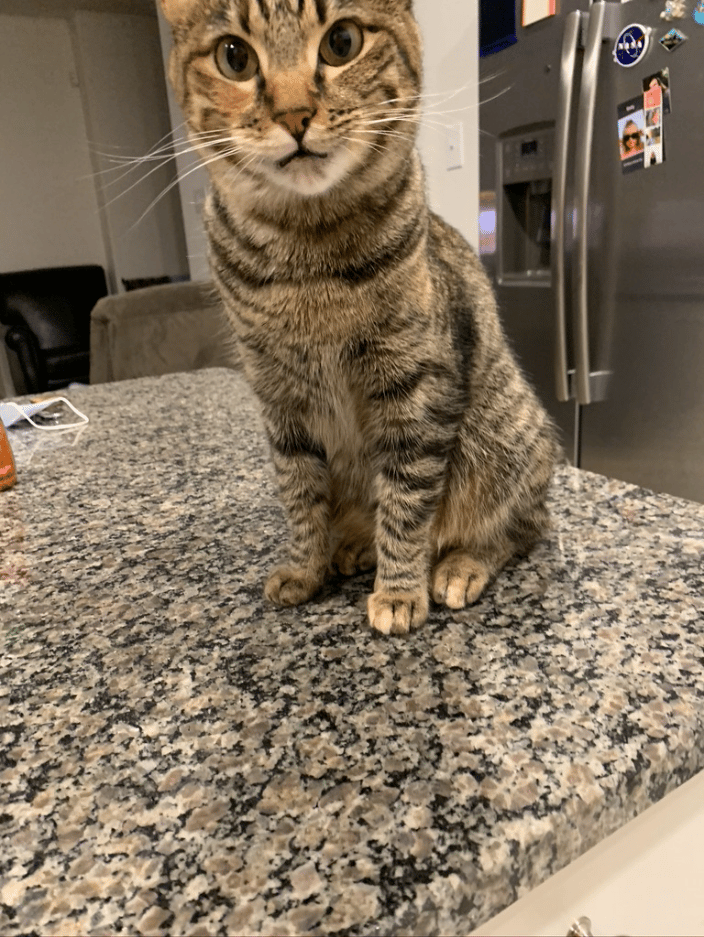 Sweet Ella!