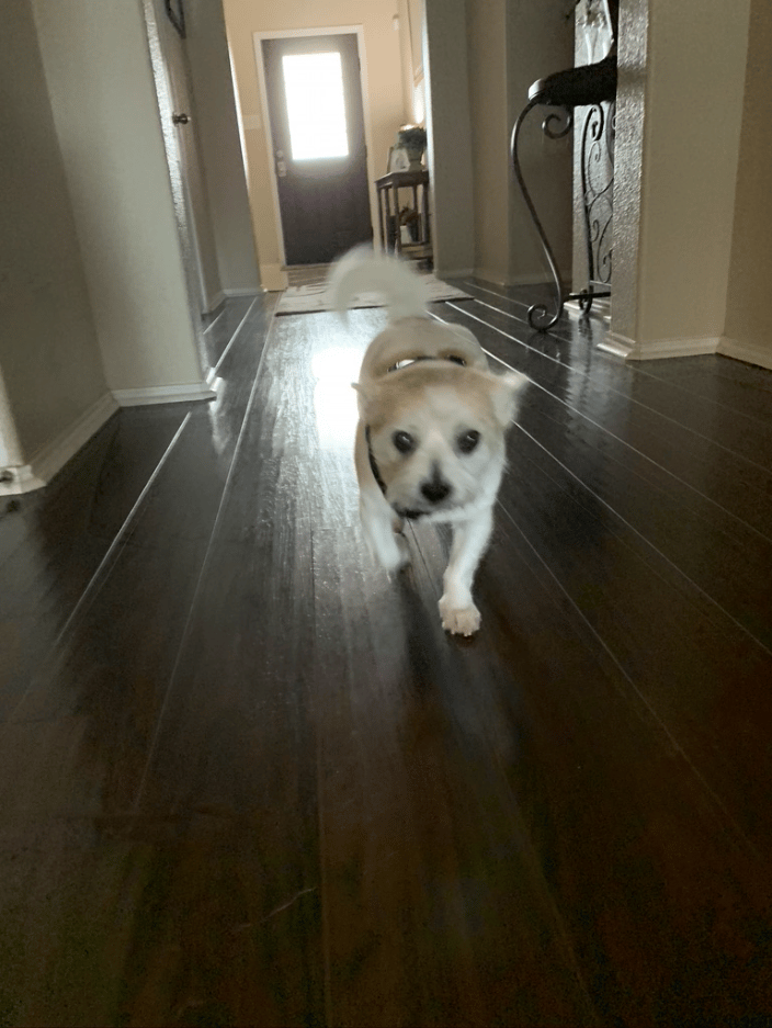 Murphy