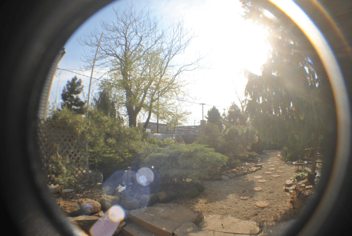 Our backyard paradise!