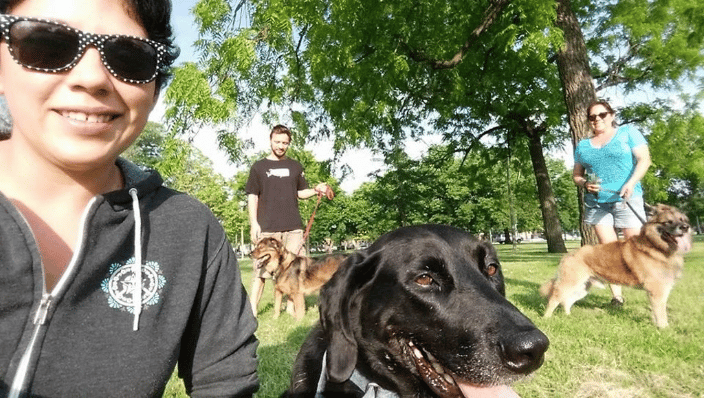 At Your Home Pet Sitting Chicago, IL