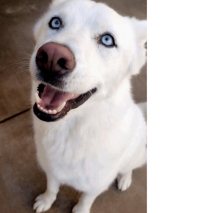 Igor has such beautiful eyes