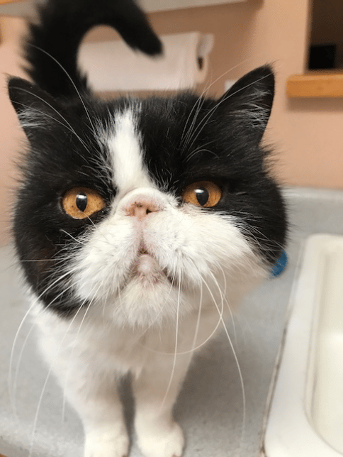 Who says he has a face only a mom can love? We love him, too!