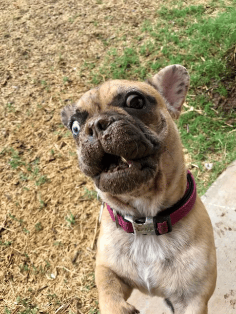 Oh dear, she found some mud!