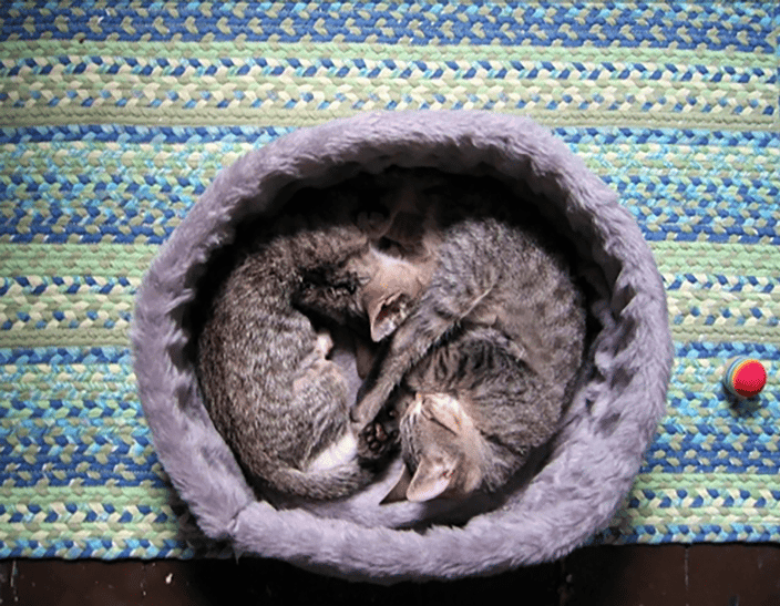 When They Were Babies. 