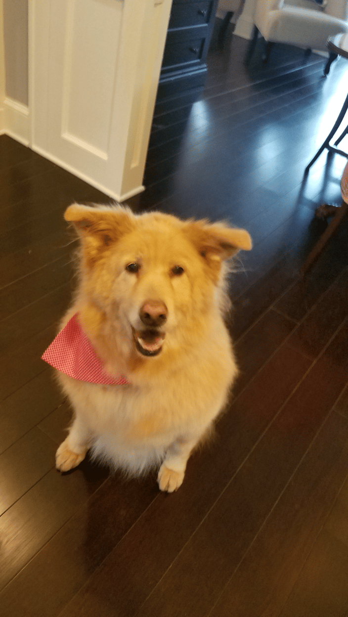 sophie