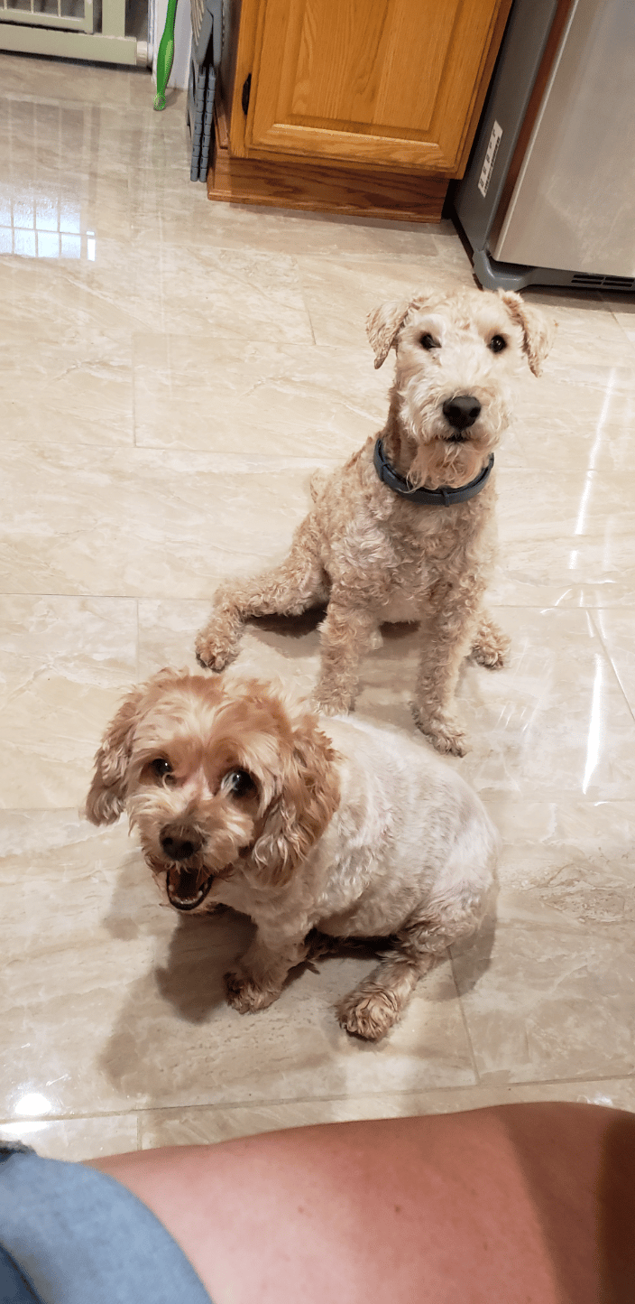 molly and teddy