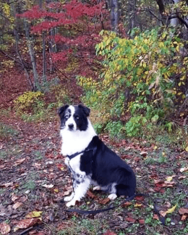 Hiking on our mountain trails