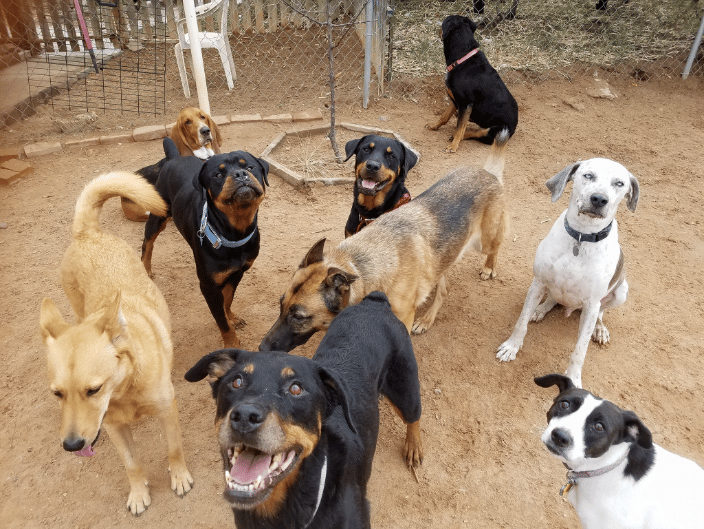 Daycare!!