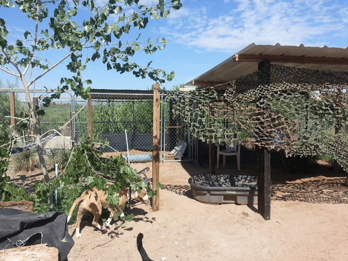 Daycare yard