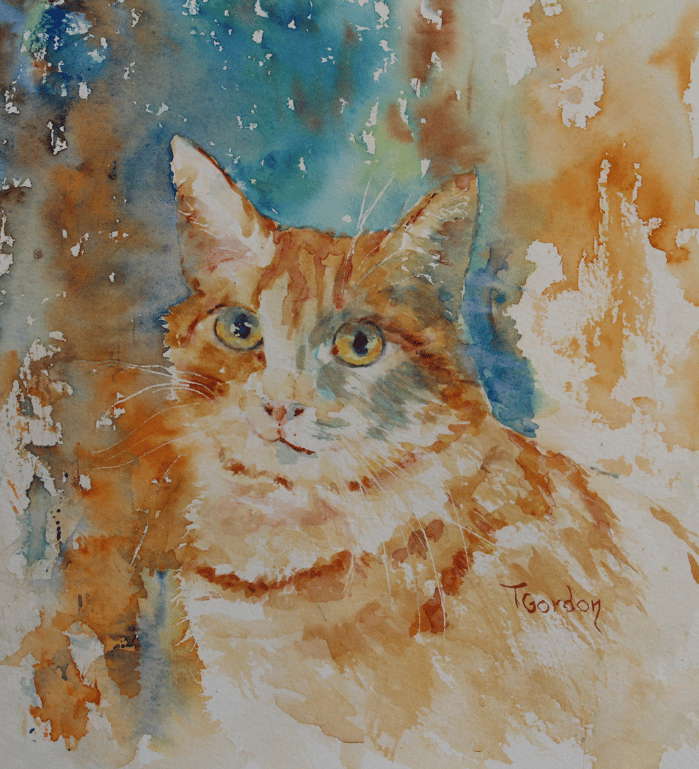'Charlie' a cat