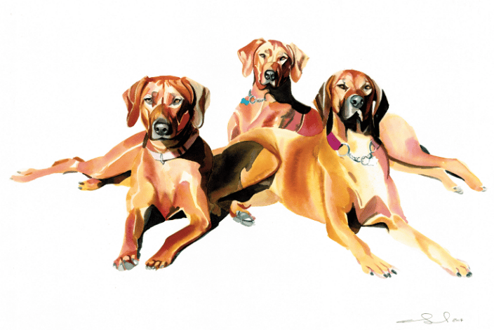 The Ridge Sisters 18x24
