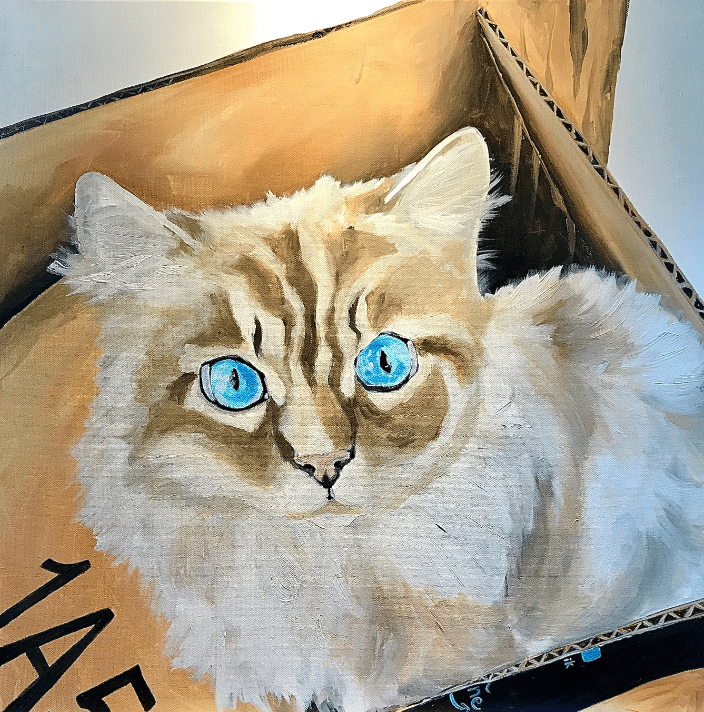16x16 pet portrait